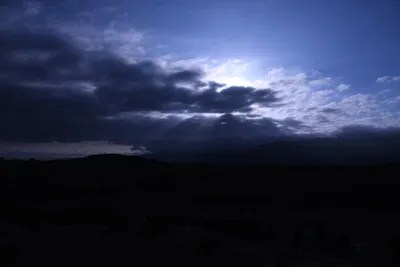 DSC_1237 (Large).JPG